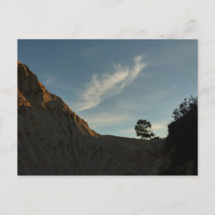 Carte Postale Lone Torrey Pine Californie Sunset Paysage