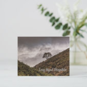 Carte Postale Lone Tree Long Mynd Shropshire (Debout devant)