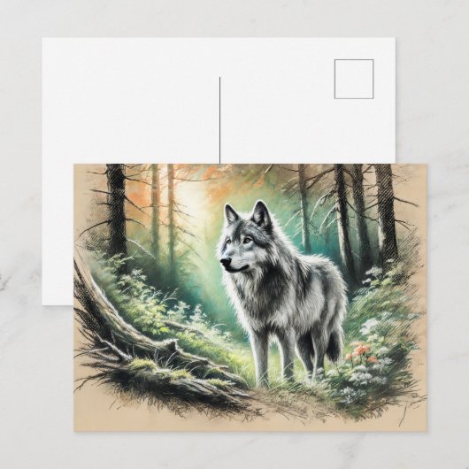 Carte Postale Lone Wolf (Devant / Derrière)
