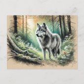 Carte Postale Lone Wolf (Devant)