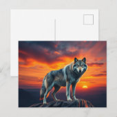 Carte Postale Lone Wolf at Sunset (Devant / Derrière)