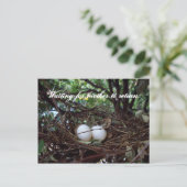 Carte Postale Lonely Birds Nest (Debout devant)