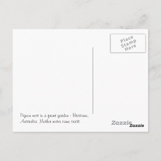 Carte Postale Lonely Birds Nest (Dos)