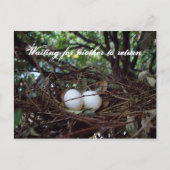 Carte Postale Lonely Birds Nest (Devant)