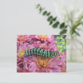 Carte postale Lonely Caterpillar "Missing you" (Debout devant)