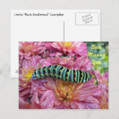 Carte postale Lonely Caterpillar "Missing you" (Devant / Derrière)