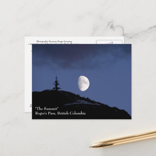 Carte postale Lonely Companion (Devant/Arrière en situation)