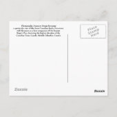 Carte postale Lonely Companion (Dos)