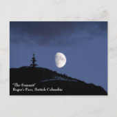 Carte postale Lonely Companion (Devant)