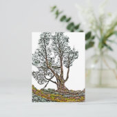 Carte Postale Lonely Cypress (Debout devant)