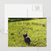 Carte postale Lonely Kitten "Missing You" (Devant / Derrière)