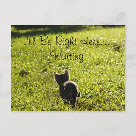 Carte postale Lonely Kitten "Missing You" (Devant)