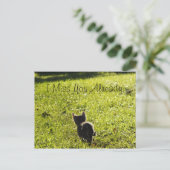 Carte postale Lonely Kitten "Missing You" *Personn (Debout devant)