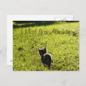 Carte postale Lonely Kitten "Missing You" *Personn (Devant / Derrière)