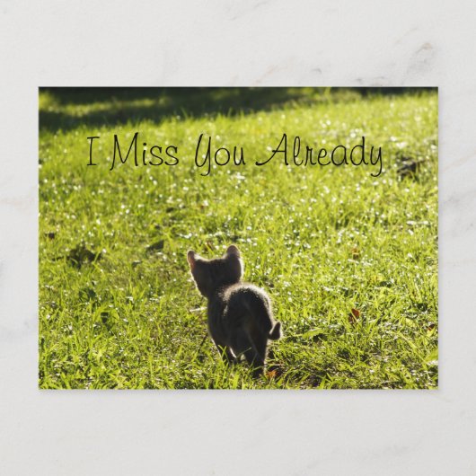 Carte postale Lonely Kitten "Missing You" *Personn (Devant)