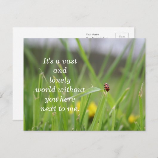 Carte Postale [Lonely Ladybug] Vous avez manqué (Devant / Derrière)