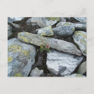 Carte postale Lonely Mountain