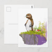 Carte Postale Lonely Otter (Devant / Derrière)