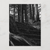 Carte Postale Lonely Stair Way (Devant)