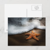Carte Postale Lonely Starfish Sur La Plage (Devant / Derrière)