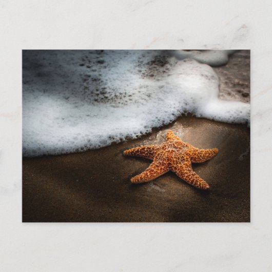 Carte Postale Lonely Starfish Sur La Plage (Devant)