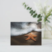 Carte Postale Lonely Starfish Sur La Plage (Debout devant)