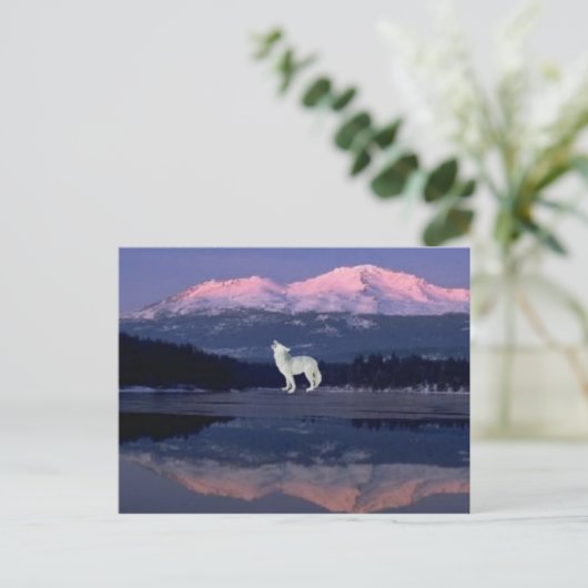 Carte Postale Lonely Wolf (Debout devant)