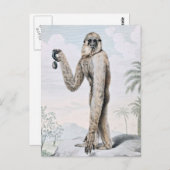 Carte Postale Long Arme Gibbon Ape Art (Devant / Derrière)
