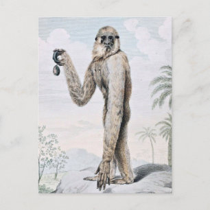 Carte Postale Long Arme Gibbon Ape Art