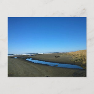 Carte Postale Long Beach, Washington