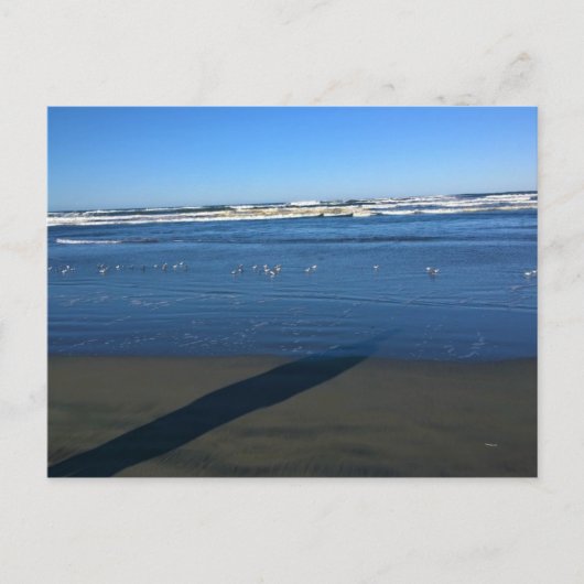 Carte Postale Long Beach, Washington (Devant)