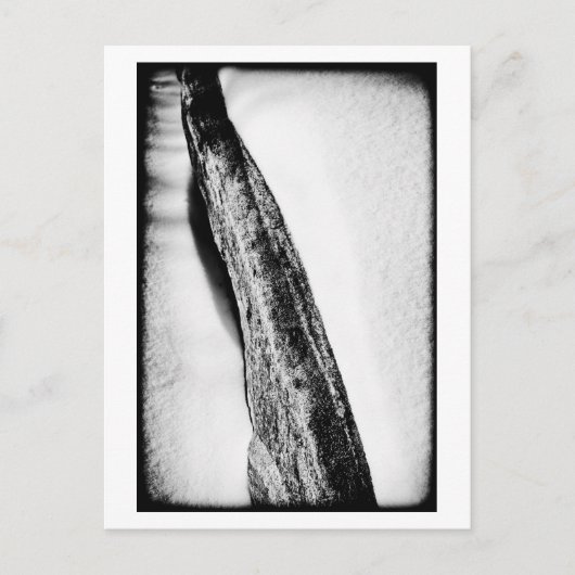 Carte Postale long dur froid solitaire (Devant)