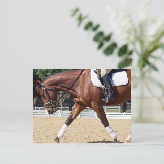 Carte Postale Long et faible (Debout devant)