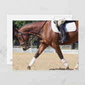 Carte Postale Long et faible (Devant / Derrière)