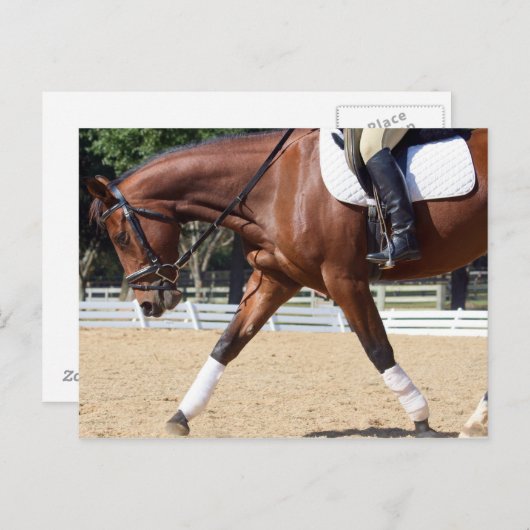 Carte Postale Long et faible (Devant / Derrière)