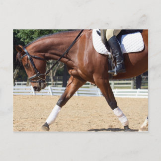 Carte Postale Long et faible