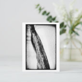 Carte Postale long froid dur solitaire (Debout devant)