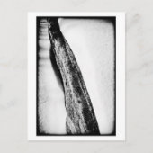 Carte Postale long froid dur solitaire (Devant)