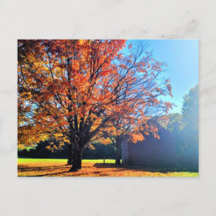 Carte Postale Long Island Autumn Fall Farm Grange New York