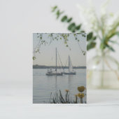 Carte Postale Long Island Sound (Debout devant)