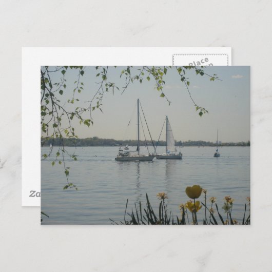 Carte Postale Long Island Sound (Devant / Derrière)