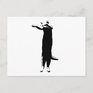 Carte Postale Long mème de chat