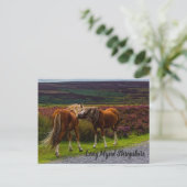 Carte postale Long Mynd Wild Ponies (Debout devant)