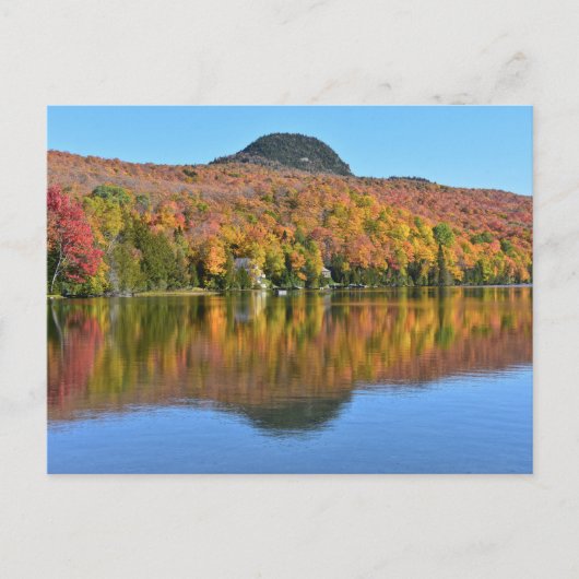 Carte Postale Long Pond en automne, Westmore, Vermont (Devant)