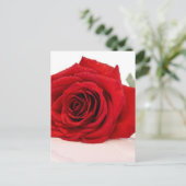 Carte postale Long Stem Red Rose (Debout devant)