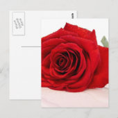 Carte postale Long Stem Red Rose (Devant / Derrière)