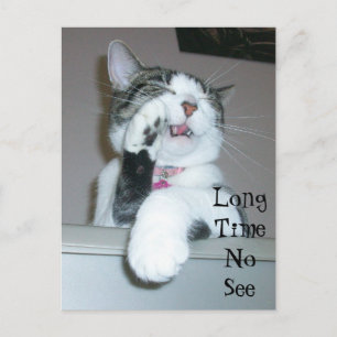 Carte Postale Long Time No Voir