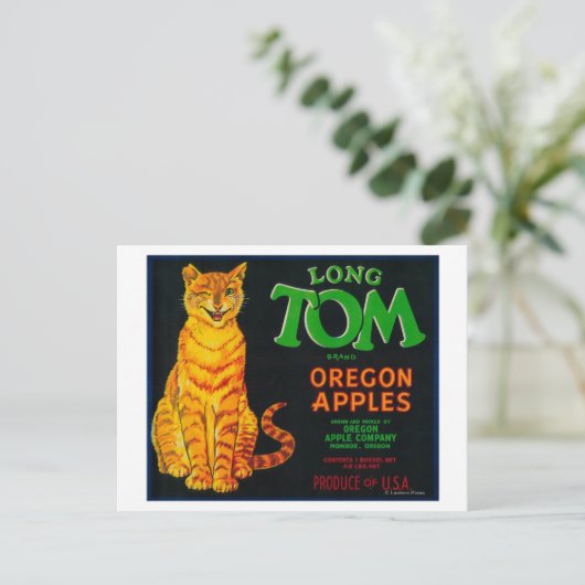 Carte Postale Long Tom Apple Crate Label Monroe, OU (Debout devant)