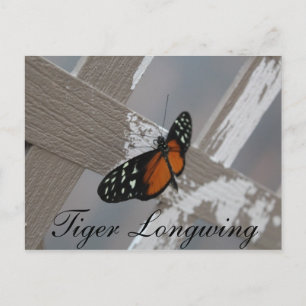 Carte Postale Longeur de tigre de papillon no 1