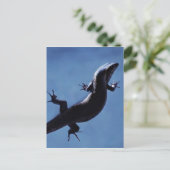 Carte Postale Longévité (Debout devant)